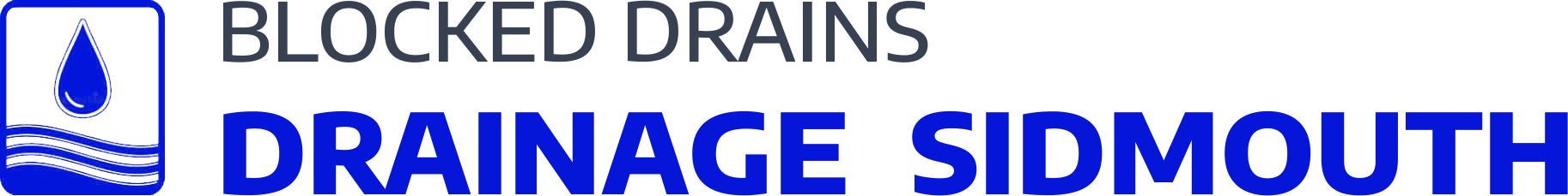website logo